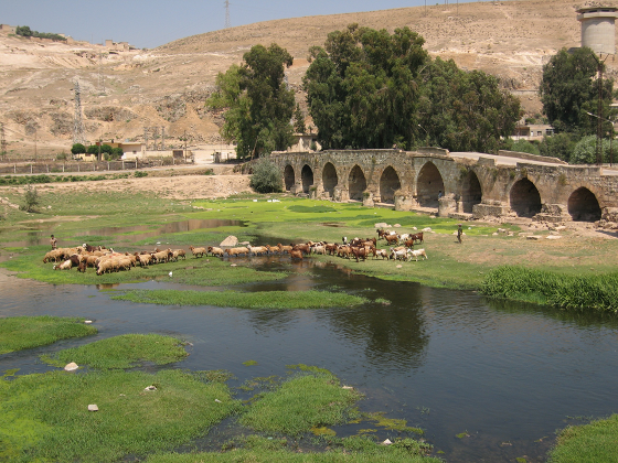 Brücke über den Orontes (Nahr al-Asi), Shaizar, © Thede Kahl Brücke über den Orontes (Nahr al-Asi), Shaizar, © Thede Kahl